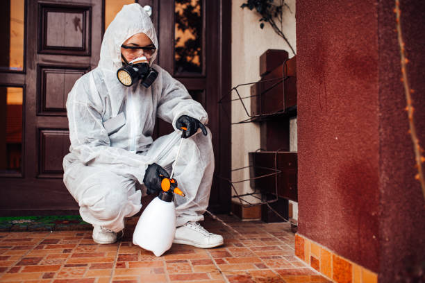 Reliable Wasp Removal contractor in Guttenberg, IA by Show Me Pest Control